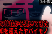 【2ch怖いスレ】夜の神社から憑いてきた人知を超えたヤバイモノ【ゆっくり解説】