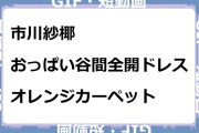 市川紗椰　おっぱい谷間全開ドレスでオレンジカーペットGIF
