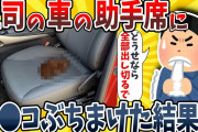 【2ch面白いスレ】上司の車の助手席でう●こ漏らしてもうたwwww【ゆっくり解説】
