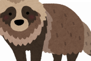 【朗報】アルビノのタヌキ、かわいい（画像あり）