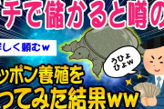 【2ch知識教養スレ】ガチで儲かると噂のスッポン養殖をやってみた結果ww【ゆっくり解説】