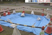 【悲報】自粛警察さん、公園の砂場にカッターの刃をばらまいてしまう
