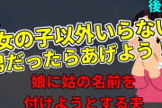 【2ch修羅場】マザコン夫が娘の名前を姑と同じにしようとしている…後編【ゆっくり実況】