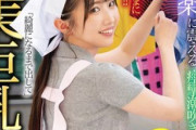 「デカ尻の家政婦から敏感カップル、そして理性の崩壊まで…」多彩なシチュエーションの記録