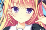 ｴﾛｹﾞをダウンロード版でしか買わない奴