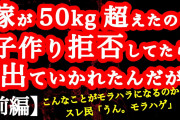 【2ch】【前編】嫁が50kg超えたので子作り拒否してたら出てったんだが【ヒトコワ】【モラハラ】