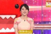 【画像】NHK赤木野々花アナのおっぱいが破裂しそう